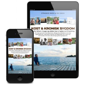 Kost & Kronisk Sygdom (e-bog)